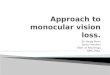 Approach to monocular blindness