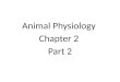 Animal physiology chapter 2   2nd half