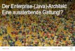 Der Enterprise-Java-Architekt – eine aussterbende Gattung!?