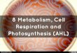 8 Metabolism, Cell Respiration and Photosynthesis (AHL)