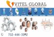 Vitel Global Portal