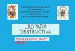 Uropatía obstructiva y litiasis