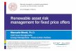 Renewable Asset Risk Management