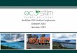 Eco Stim Presentation Global Online Growth Conference - Oct 2016