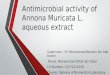 Antimicrobial activity of annona muricata L. (Soursop Leaves)