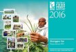 Overview: 2016 Global Food Policy Report