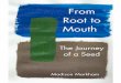 From Root to Mouth 2