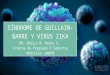 Sindrome de Guillain Barre Y virus Zika
