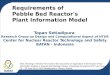 Requirements of Pebble Bed Reactor's Plant Information Model