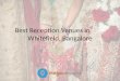 Best reception venues in whitefield, bangalore