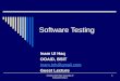 Software Testing (Usability Testing of Website)
