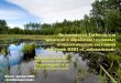 Bezrodnova o.v.   turboveg possibilities for data storage and processing of ecological condition of habitats slobozhansky national park