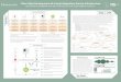 Dartmouth Hydraconnect 2015 poster - Clean-Slate Development of a Hydra Repository Service Infrastructure