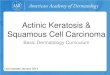 Actinic Keratosis & Squamous Cell Carcinoma - aad.org