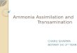 Ammonia assimilation and transamination