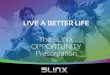 5 linx opportunity-presentation-en (3)