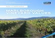 CIRA Marlborough Vineyard Values Report_2016