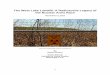 The West Lake Landfill: A Radioactive Legacy of the Nuclear Arms 