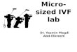 Ivf lab microsized
