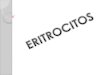 Presentación eritrocitos