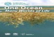 One Ocean, Many Worlds of Life