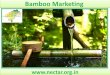 Bamboo Marketing - Nectar.org.in