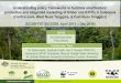 Understanding policy frameworks to facilitate smallholders’ production and integrated marketing of timber and NTFPs in Indonesia