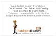 Budget Beauty Orange franchise offer