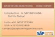 SAP BW on HANA  Training