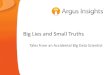 Big Lies and Small Truths About Big Data