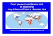 Past present future disaster risk of natural hazards: Key drivers of future disaster risk