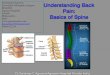 Understanding Back Pain Basics of Spine Dr.Sandeep C Agrawal Agrasen Orthopedic Hospital Gondia India