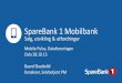 Sparebank1 mobile pulse281015