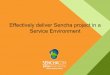 Effectively deliver Sencha project in a Services setup