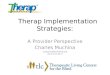 Therap Implementation Strategies