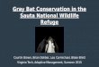Gray bat conservation plan at sauta nwr ppt nr5884_summer2015_