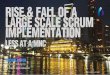 Rise and Downfall of a large Scale Scrum (LeSS) Implementation