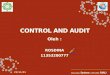CONTROL AND AUDIT