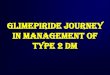 Ueda2016 symposium - glimepiride journey in management of type 2 dm -  megahed abuel magd