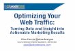 Optimizing Your  Web Traffic: Turning Data and Insight into Actionable Marketing Results