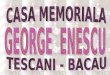 Memorial house George Enescu
