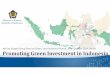 Promoting Green Investment in Indonesia
