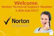 Norton tech support 1 800-636-0917
