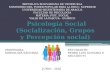Procesos de Socialización, Grupos y Percepción Social PEDRO GUEVARA