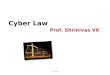 Cyber law/Business law