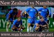 can I watch New Zealand vs Namibia live in usa