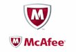 McAfee Support Number +1-855-676-2448