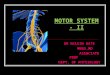 MOTOR SYSTEM SPINAL CORD