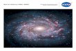 Spiral Galaxy NGC 3982 (PDF)