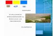 Raport Evaluare Preliminara a Riscului la Inundatii Dunarea